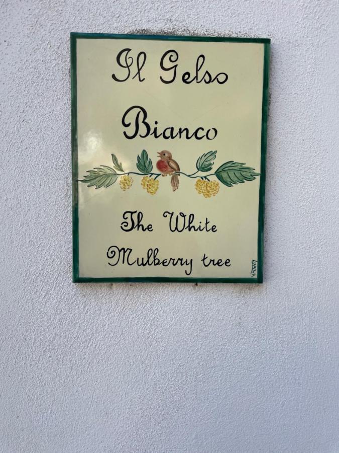 拉维罗Il Gelso Bianco -The White Mulberry Tree别墅 外观 照片